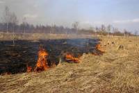 В минувшие сутки на территории ДФО ликвидировали 2 из 3 лесных пожаров