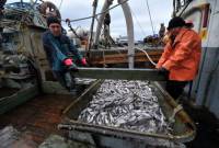 Во Владивостокском морском рыбном порту с осени резко вырос грузопоток