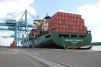 Более 70 контейнеров с ширпотребом из Китая пытались ввезти в Приморье под видом стройматериалов